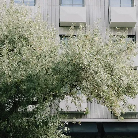 Wilde Liberdade Lisboa