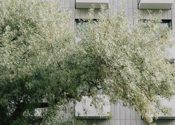 Wilde Liberdade Lisboa